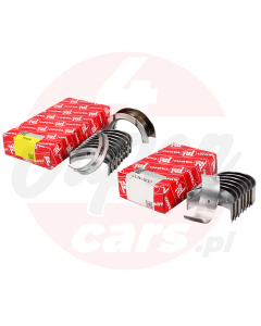 Zestaw panewek Taiho STD Hyundai KIA D4EA