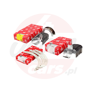 Zestaw panewek Taiho STD Lexus IS200 99-05 1GFE